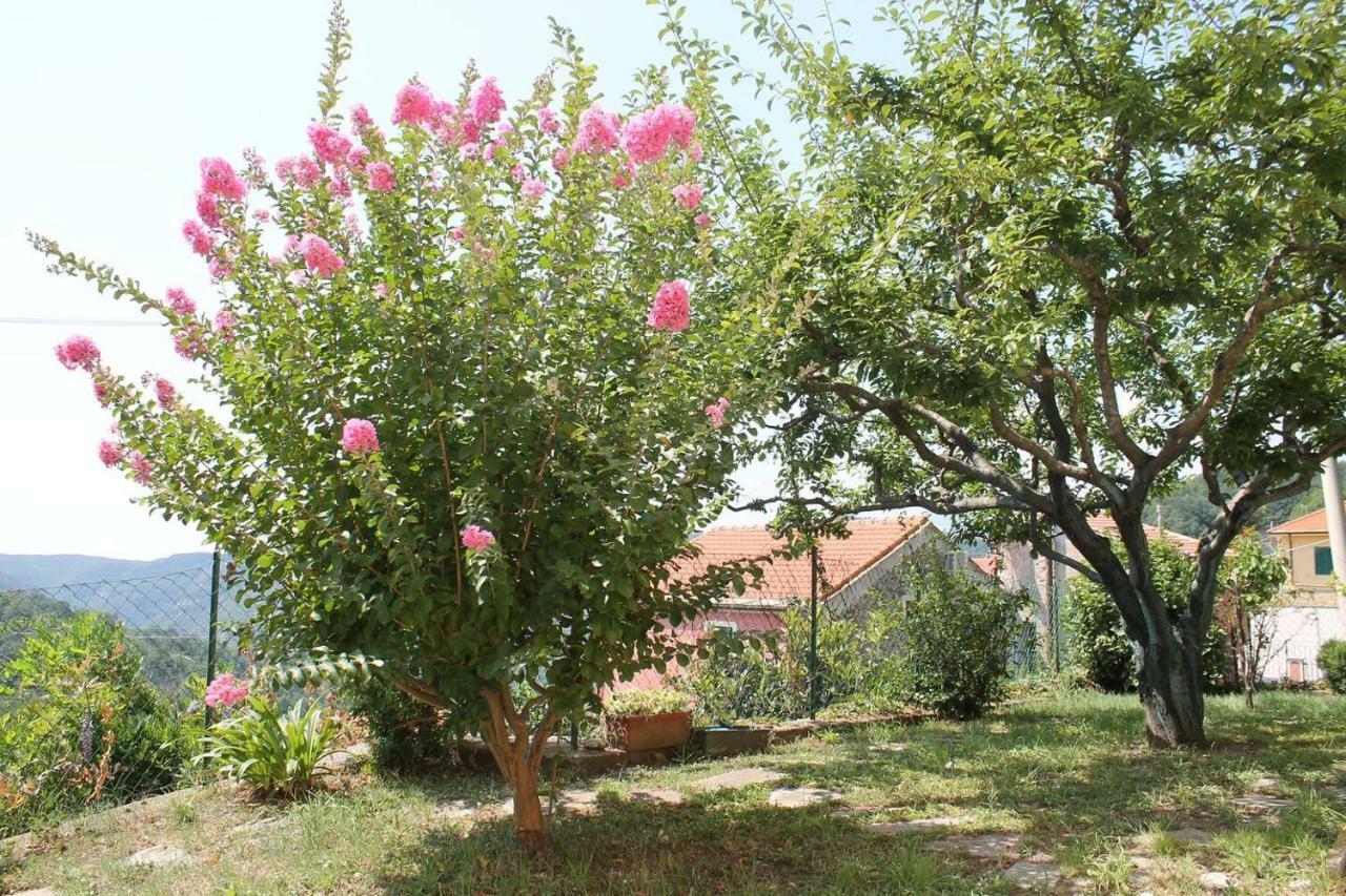 La Casetta Di Graziella Apartment Vezzi Portio Ngoại thất bức ảnh