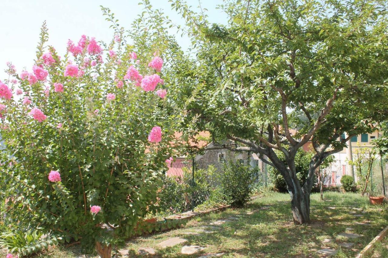 La Casetta Di Graziella Apartment Vezzi Portio Ngoại thất bức ảnh